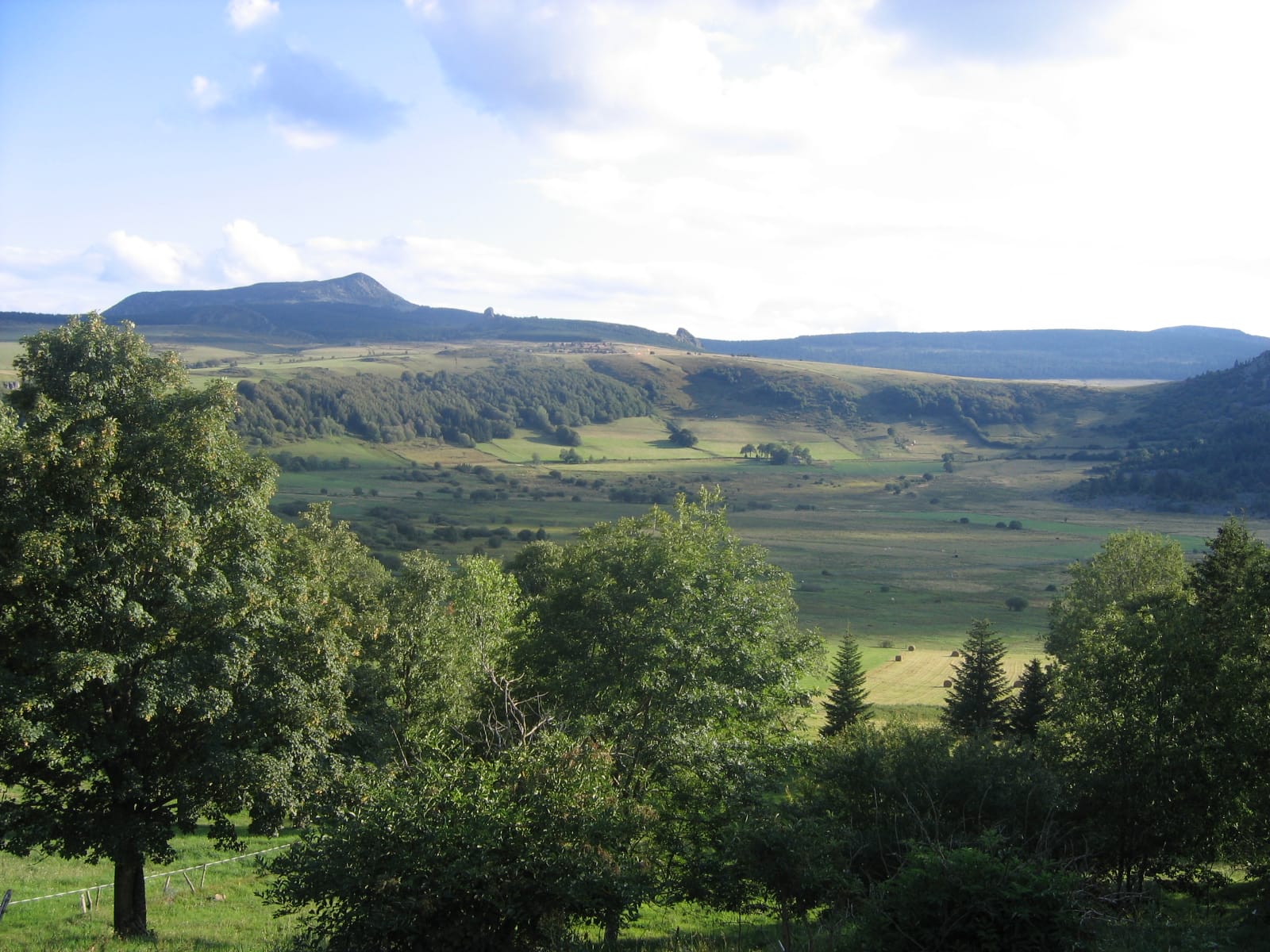 Novoden